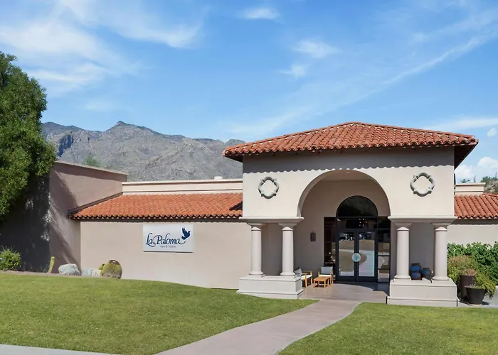 Best Pet Friendly Hotels in Tucson for Furry Adventures