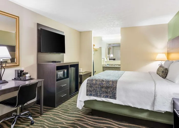 Top-Rated Hotels Offering Comfort and Charm in Cadiz