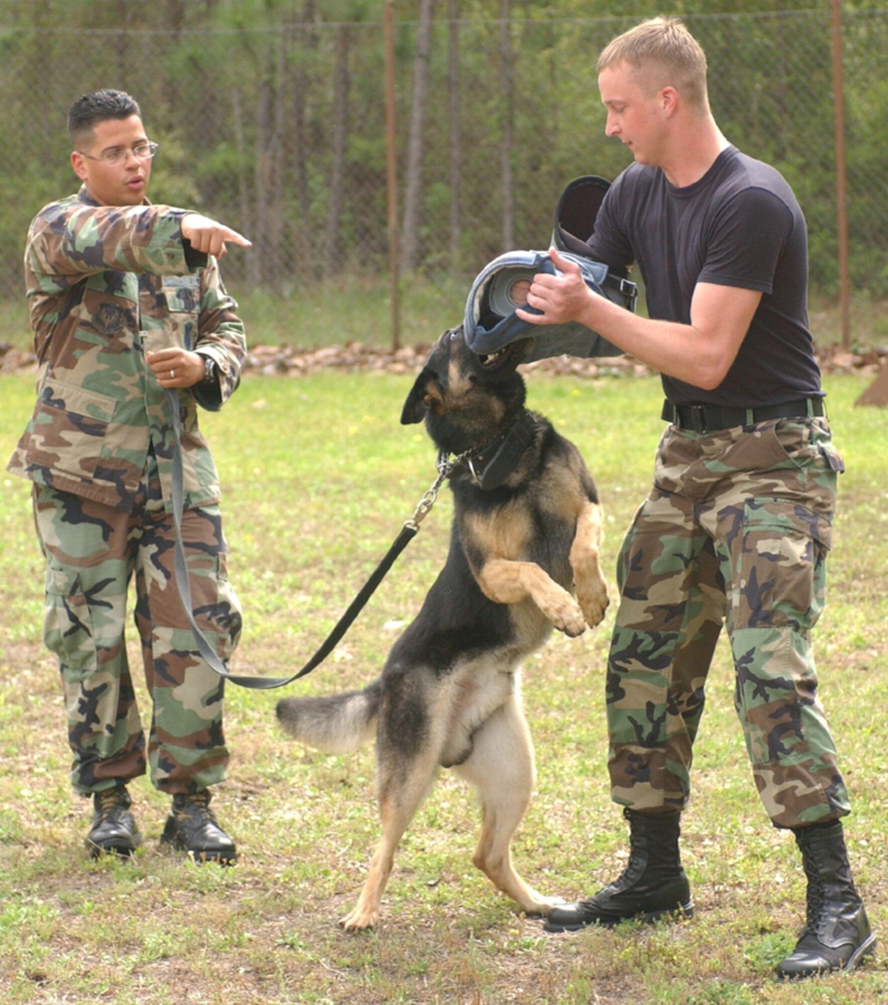 Dog attack decoys provide critical training > Air Force Special ...