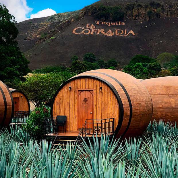 Overnachten in een tequilavat en tequila drinken direct bij de bron