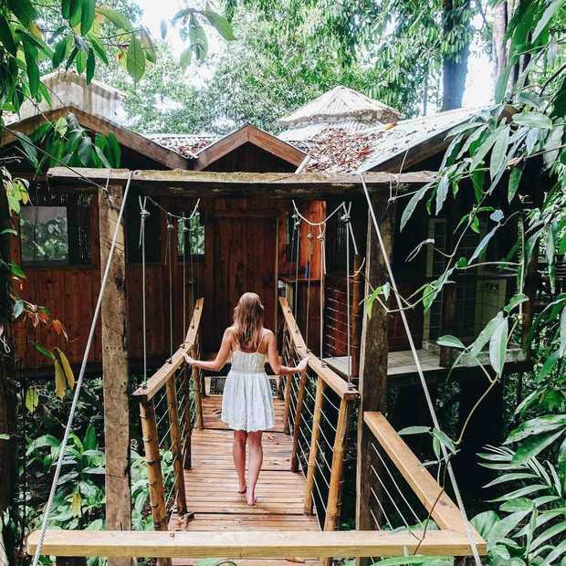 De 5 coolste boomhut hotels om alvast van te dromen