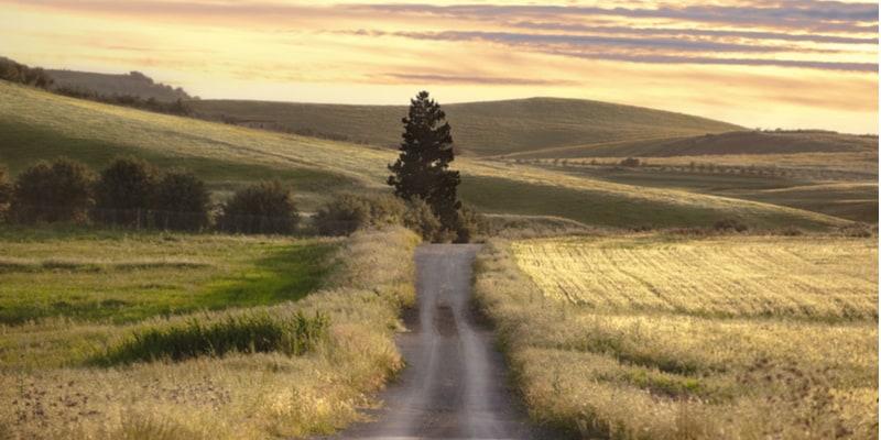 magna-via-francigena_1